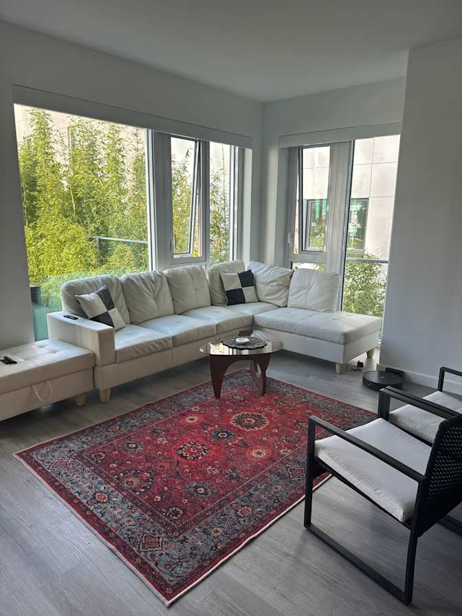 sara mostowfi's room
