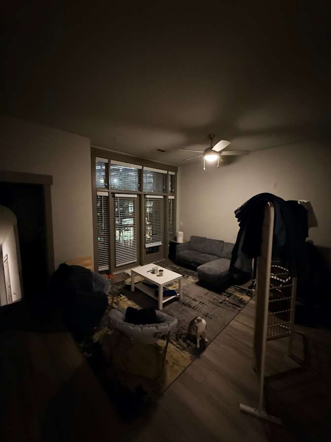 Malo's room
