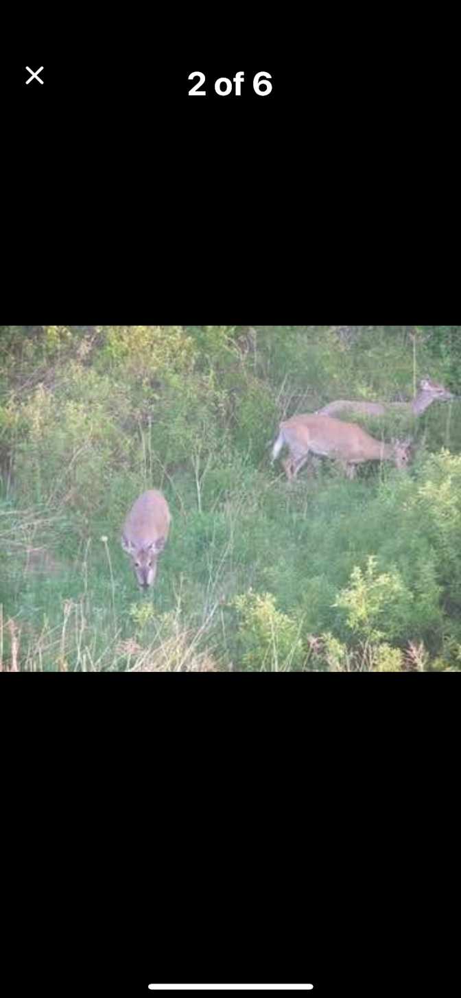 Marisela loncaric's room
