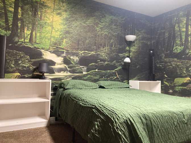 Veronica's room