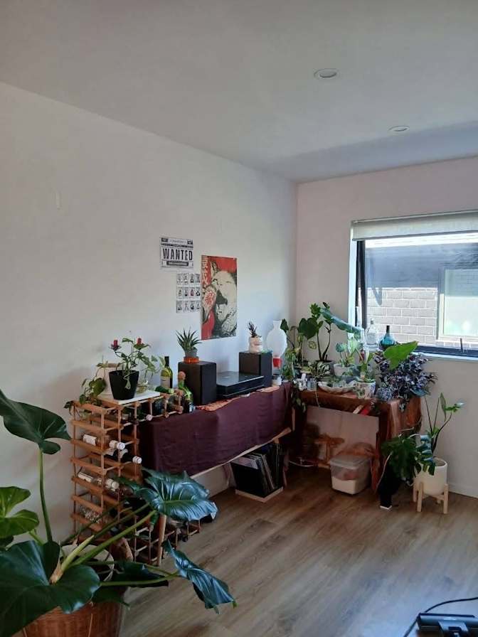 Jazmian's room