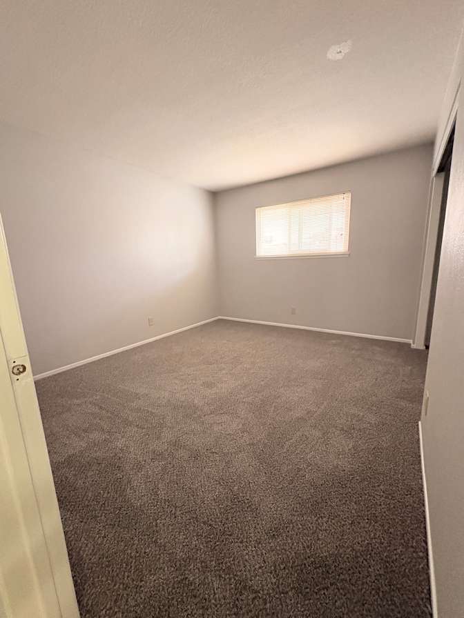 Amy's room