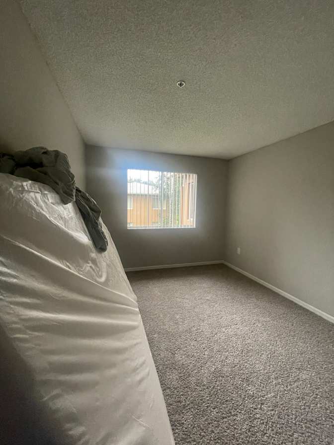 Damaris's room