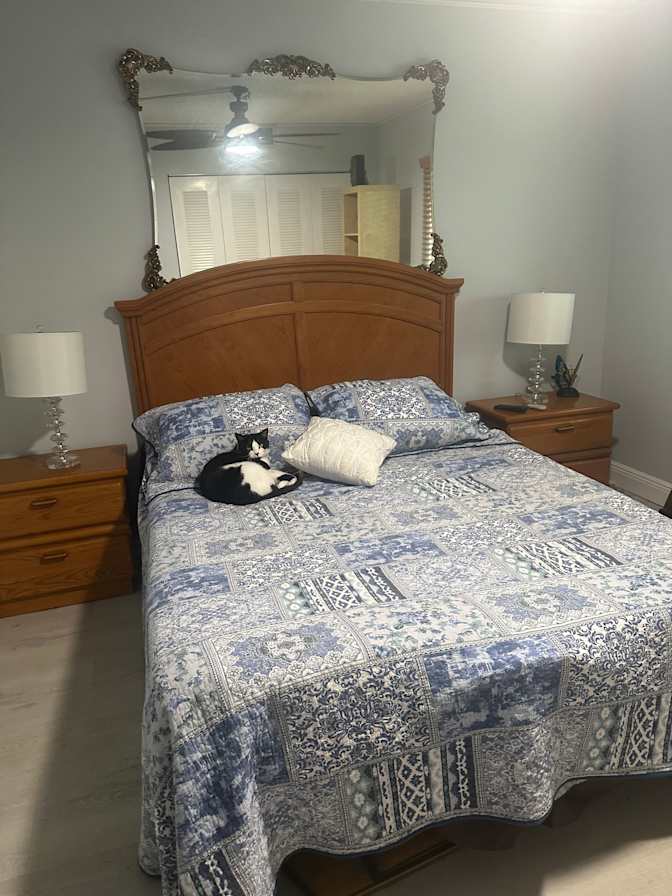 Lisa's room