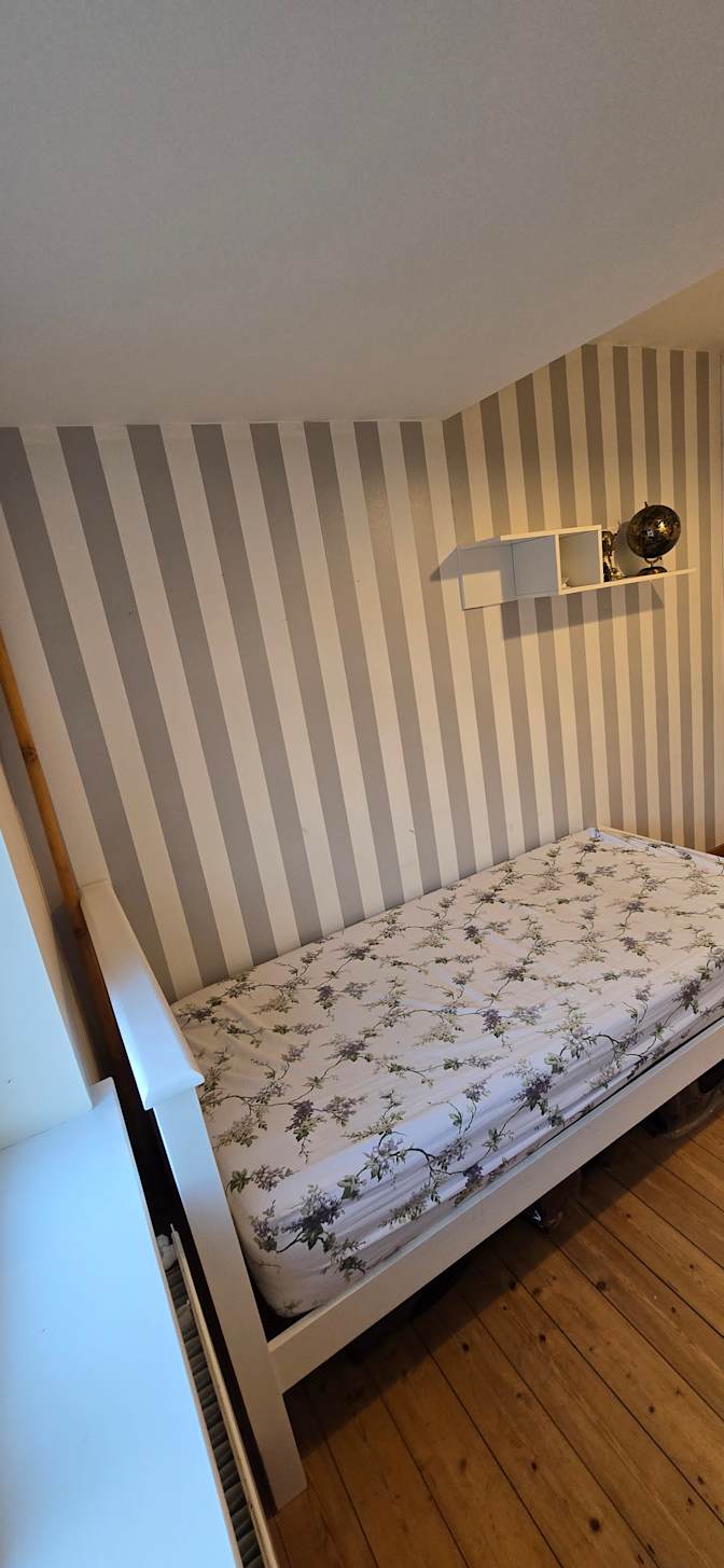 Alan Noronha's room