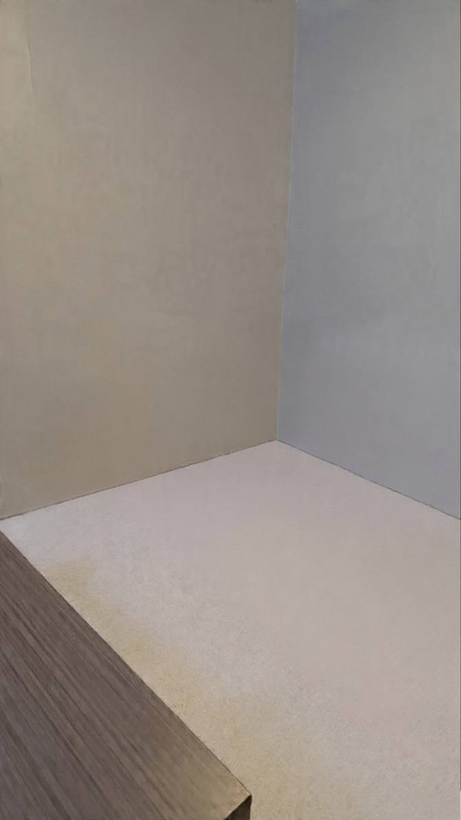 Jesse's room