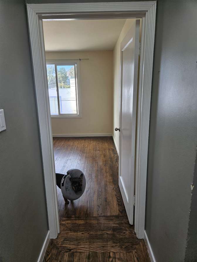 Ali's room