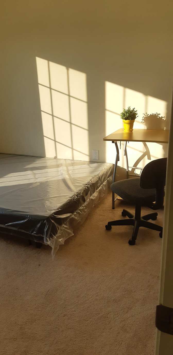 Shaheen's room