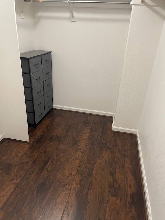 Shelle's room