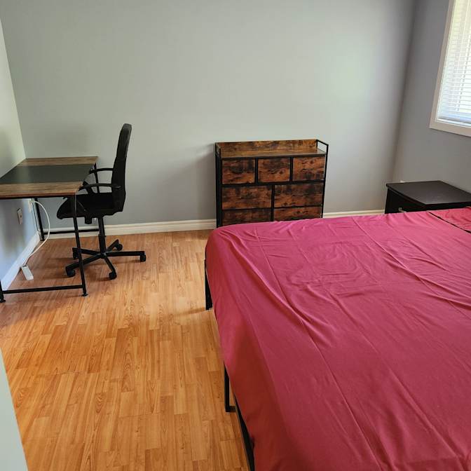 Lou's room