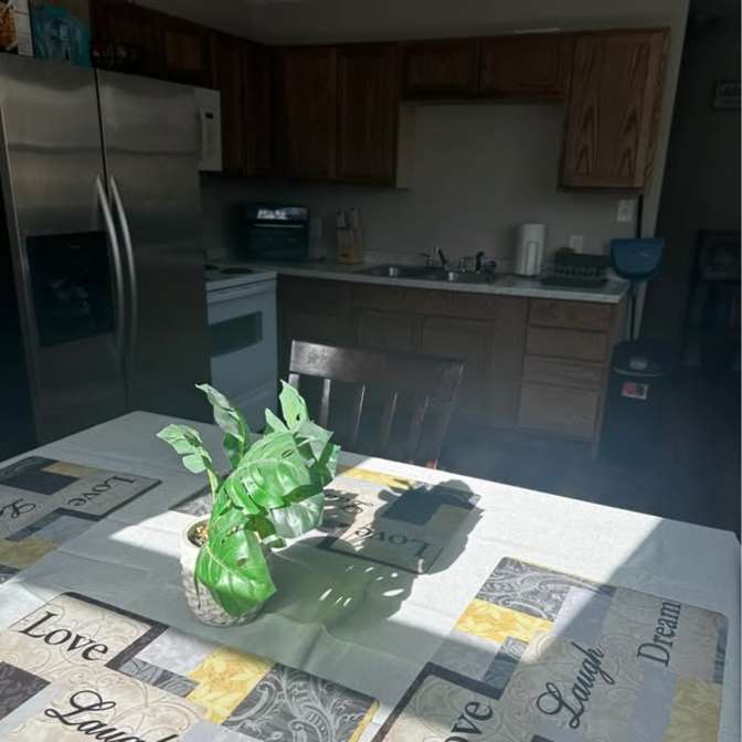 ADMIN's room