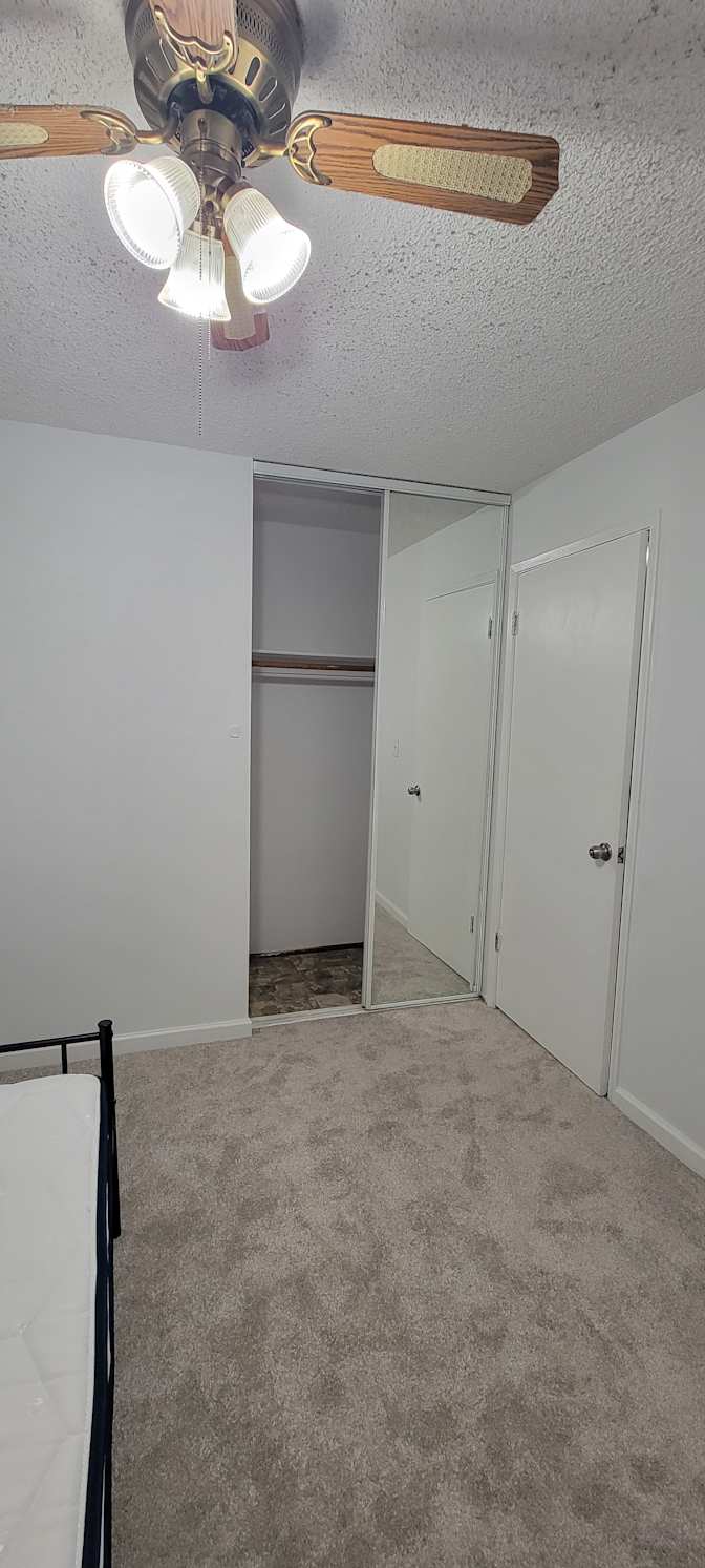 Singh's room