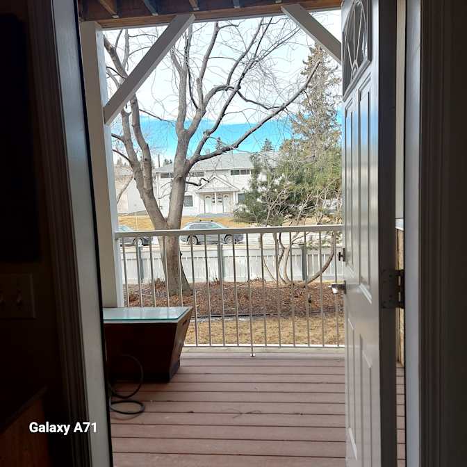 Lisa Falkowsky's room