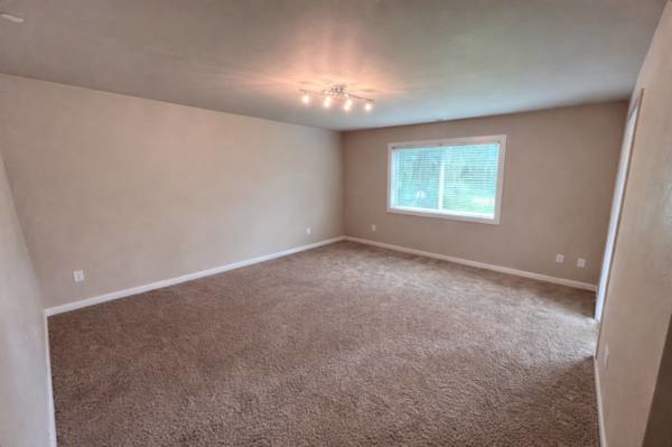 Stephanie's room