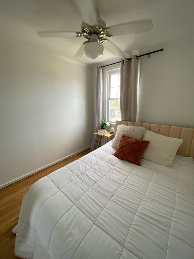 Haelly's room