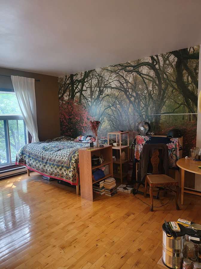 Nelson Couto's room