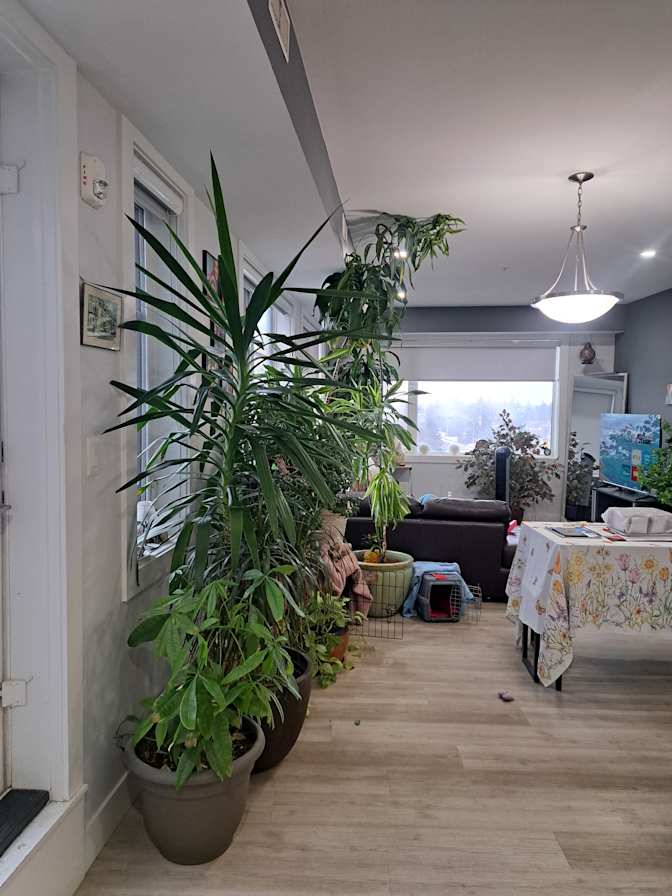 South Edmonton's room