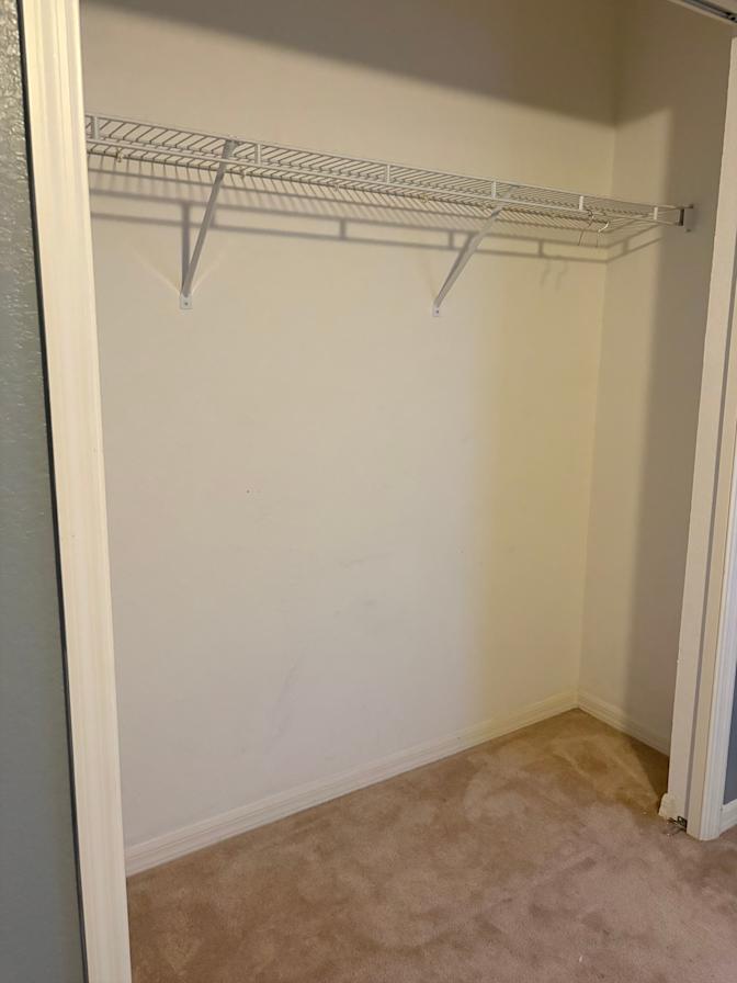 Rendee's room
