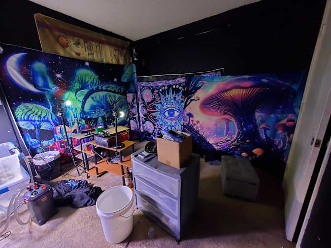 JAY's room
