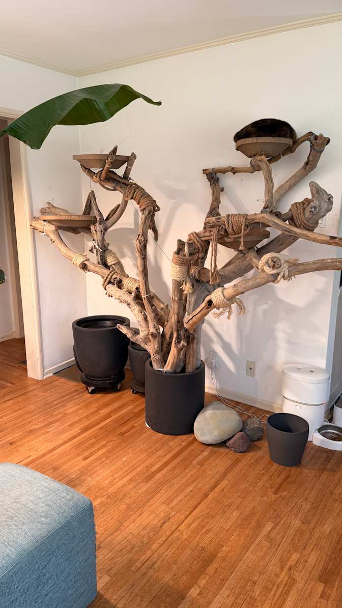 Brad's room