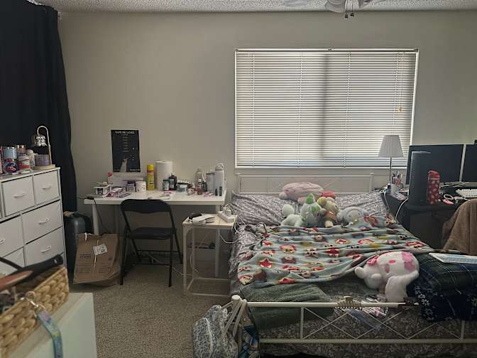 Fritzi's room