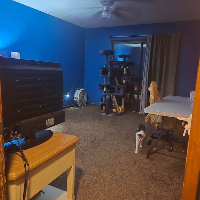 Figrin's room