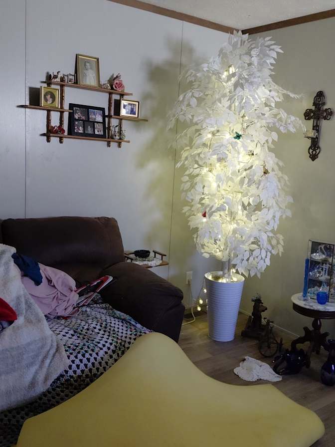 Tamara Brown's room