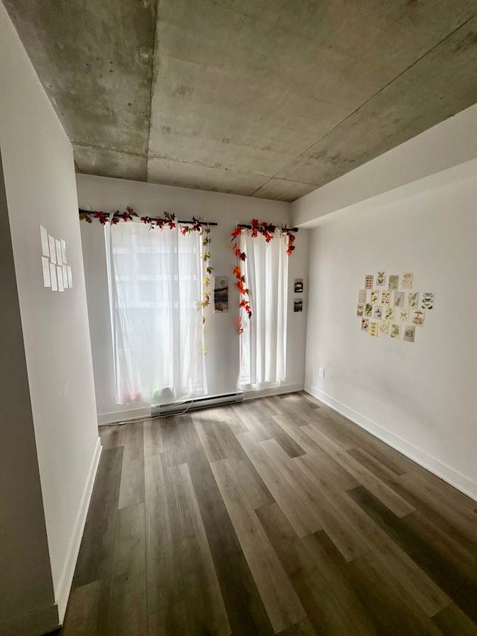 Javiera Navarro's room