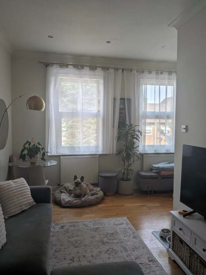 Bright Double Room's room