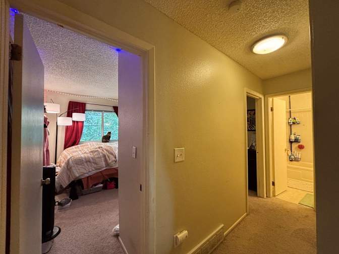 Noah's room