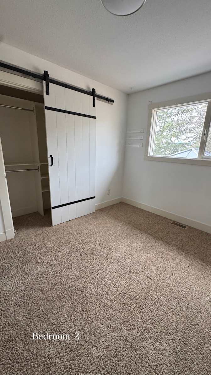 Shay's room