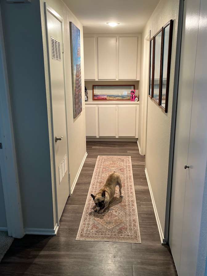 Susan  Hannon's room