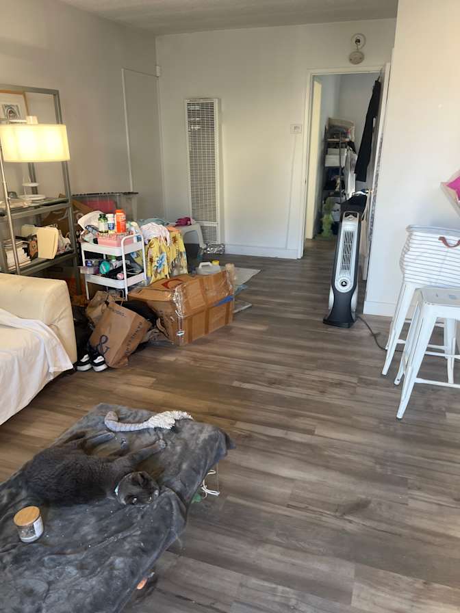 Matthew's room