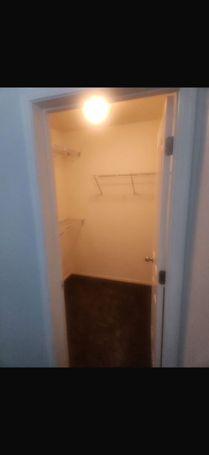 Sophia's room