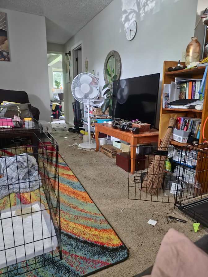Maria's room