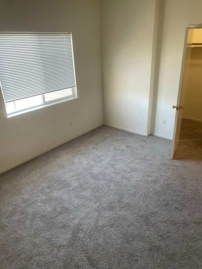 Michele Lyn Forsythe's room