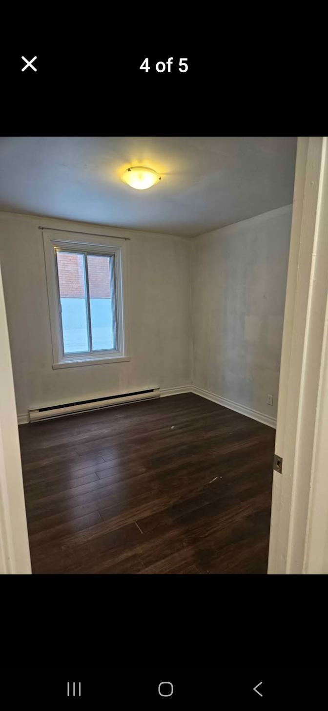 Dimitri's room