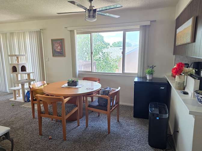 Paula Collins's room