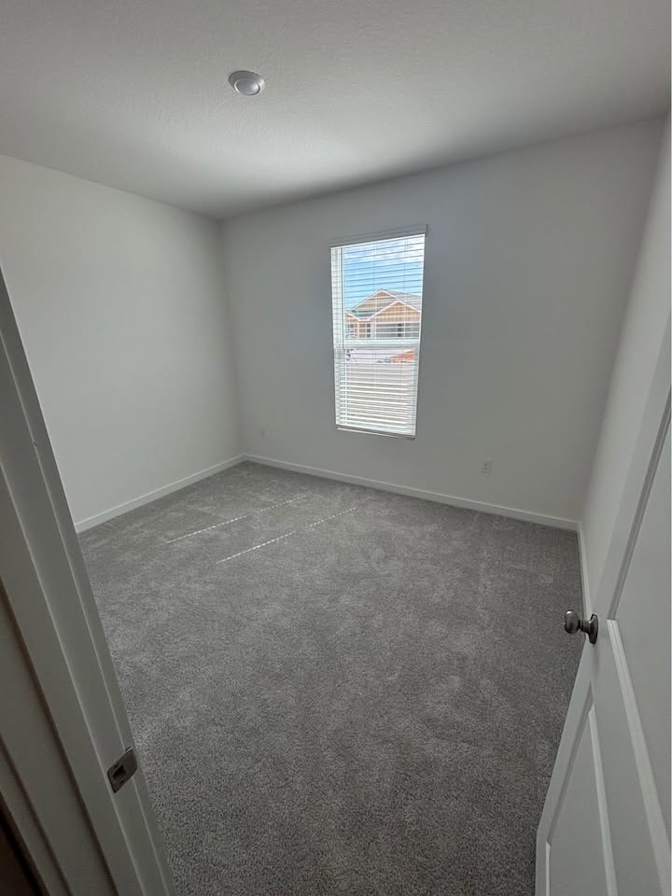 Dominic's room