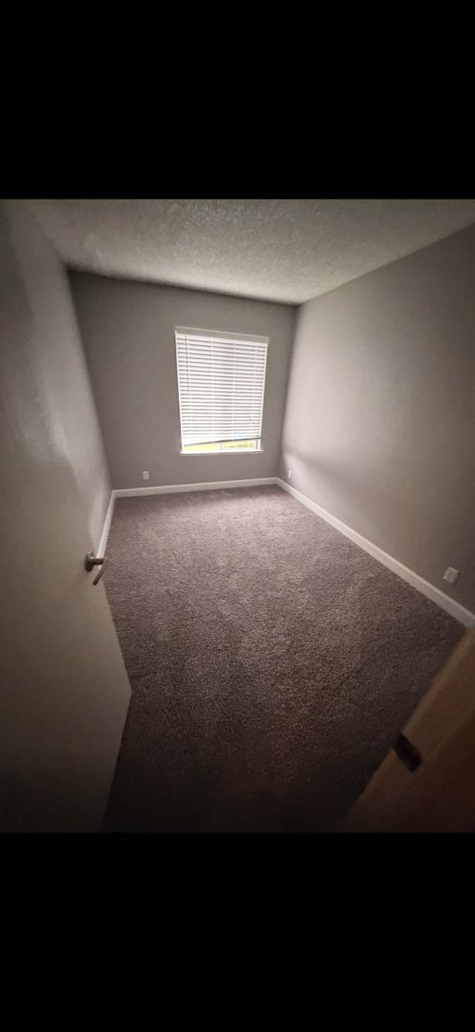 Mario's room