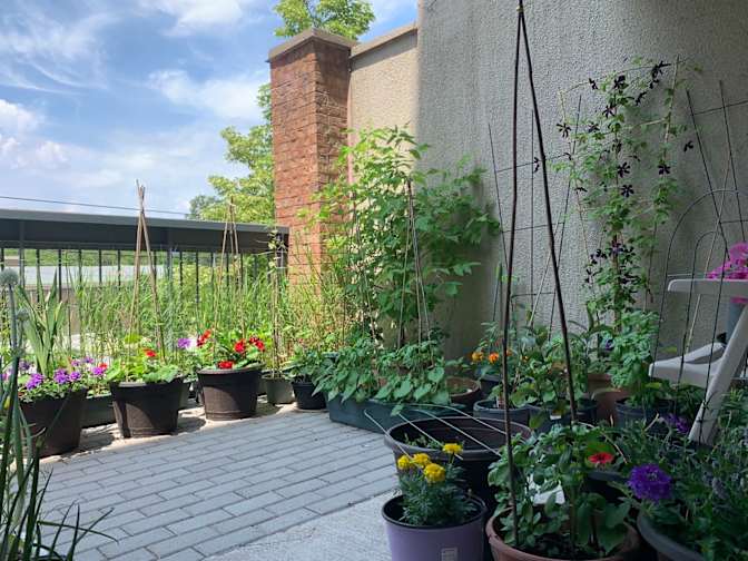 David's room