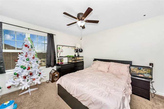 Taylor's room