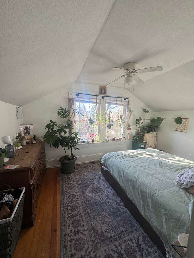 Mark's room