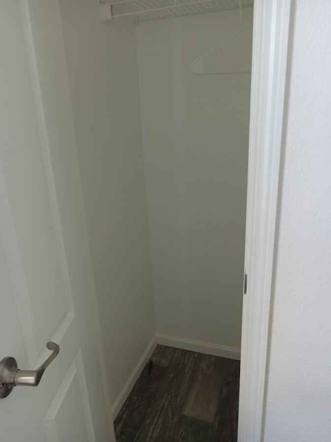 Sassonne's room