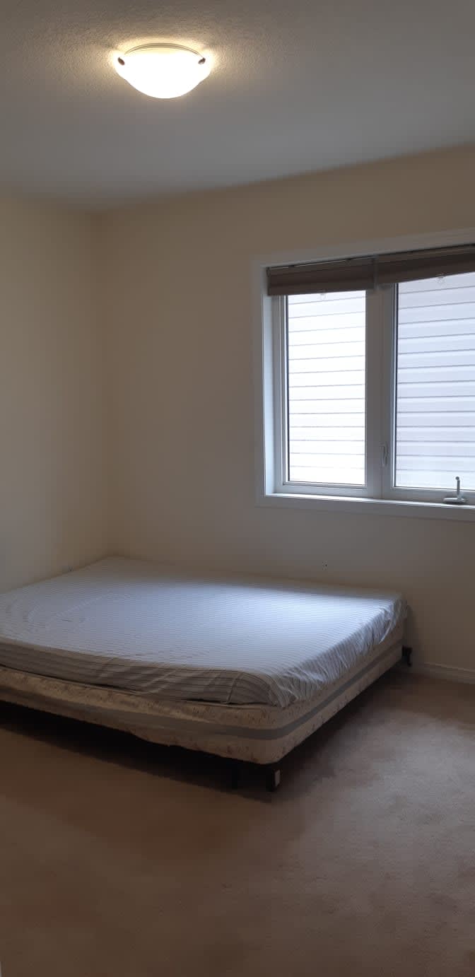 Shaheen's room