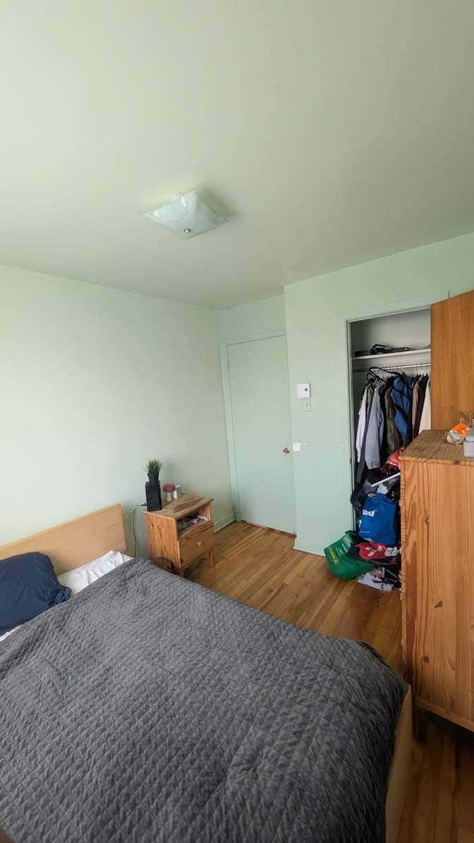 Harley's room