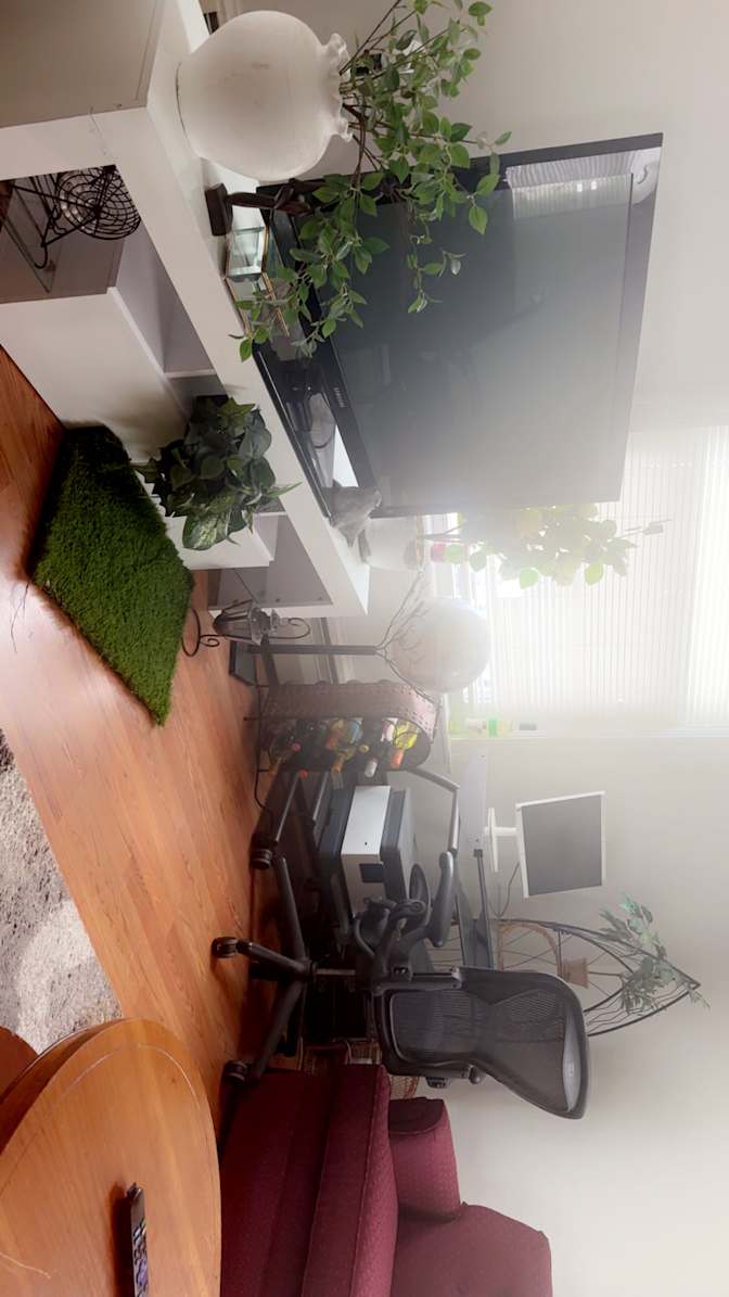 Fabris's room
