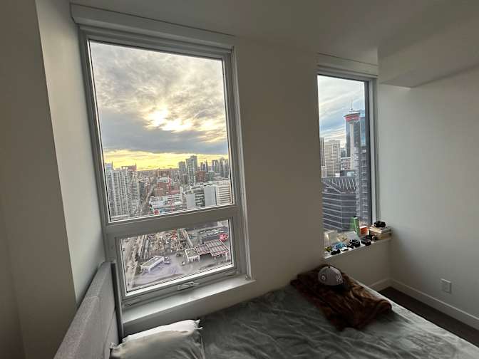 David Mcchesney's room