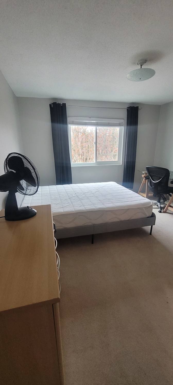 Madi's room