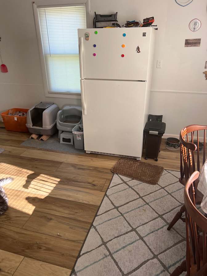 Steven's room
